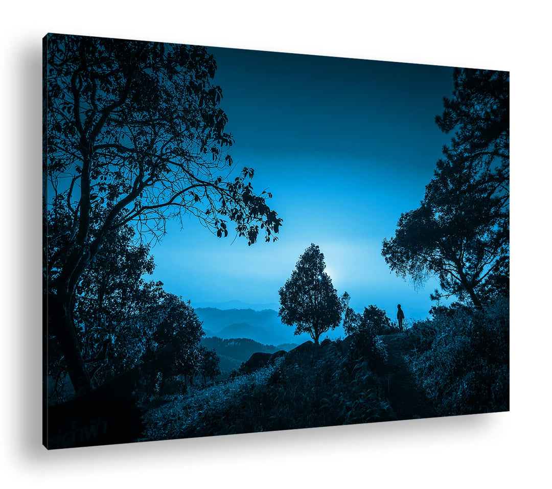 deyoli aussergewöhnliche Hügellandschaft mit Bäumen Format 80x60 Effekt: Monocrome Blau als Leinwand