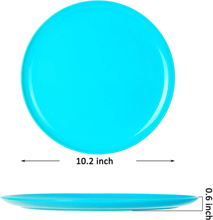 Youngever 9 Stück 25CM Grosse Kunststoff Teller, Mehrweg Plastik Teller Set, Party Geschirr, Mikrowe