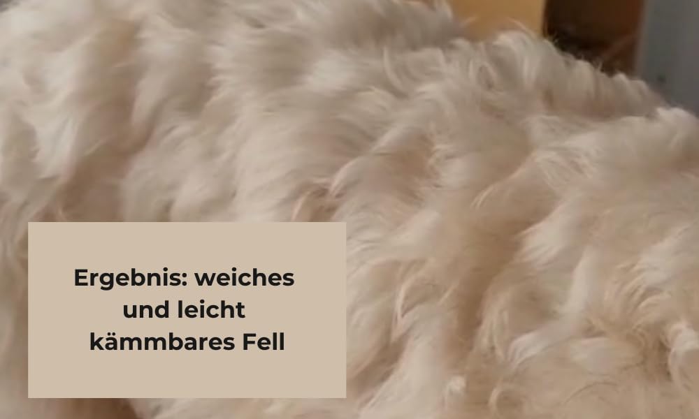 Fellwohl Premium Hundeshampoo für gesunde Hundehaut und glänzendes Fell. Naturreine Inhaltsstoffe in