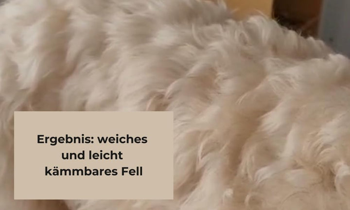 Fellwohl Premium Hundeshampoo für gesunde Hundehaut und glänzendes Fell. Naturreine Inhaltsstoffe in