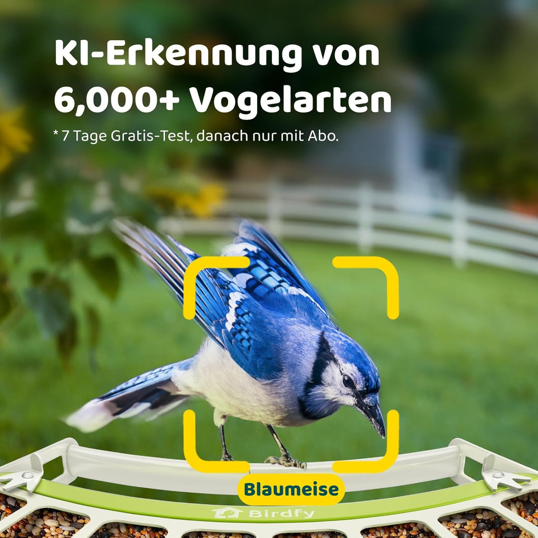 Birdfy Metall Vogelfutterhaus mit Kamera zur Live-Vogelbeobachtung, 1080P Wireless Farbnachtsicht Vo