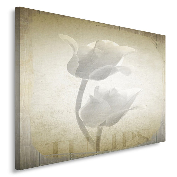 Feeby Frames, Leinwandbild, Bilder, Wand Bild, Wandbilder, Kunstdruck 50x70cm, BLUMEN, TULPE, NATUR,