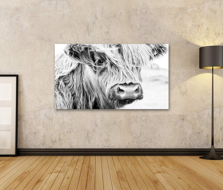 islandburner Bild auf Leinwand Schottische Kuh Im Grünen Gras Wandbild Poster Kunstdruck Bilder Form