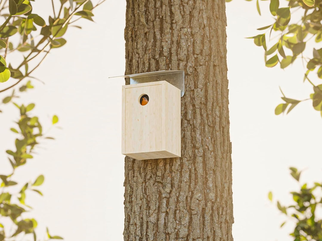 Alberts 355272 Vogelhäuschen Schrägschutzdach | Vogelfutterhaus aus Stahl in verschiedenen Trendfarb