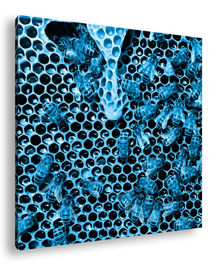 deyoli Honigwabe mit Bienen im Format: 70x70 Effekt: Zeichnung als Leinwandbild, Motiv auf Echtholzr