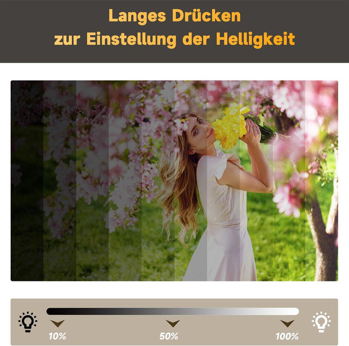 SONNI Badspiegel 100 x 60cm Badspiegel mit LED-Beleuchtung beschlagfrei Lichtspiegel LED Spiegel Wan