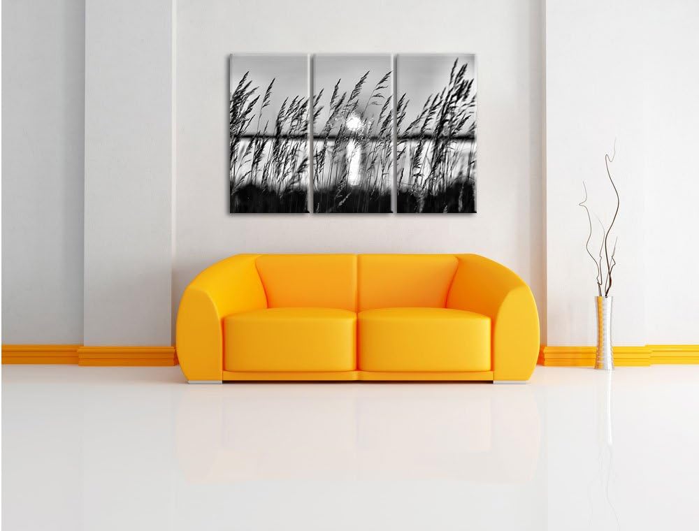 Pixxprint Sonne zwischen Gräsern als Leinwandbild/Grösse: 3 Teilig (120x80) / Wandbild/Kunstdruck/fe
