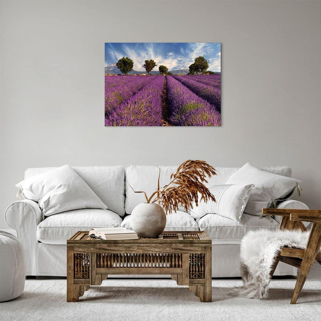 Bilder auf Leinwand Landschaft Wiese Pflanzen Leinwandbild 70x50cm Wandbilder Dekoration Wohnzimmer