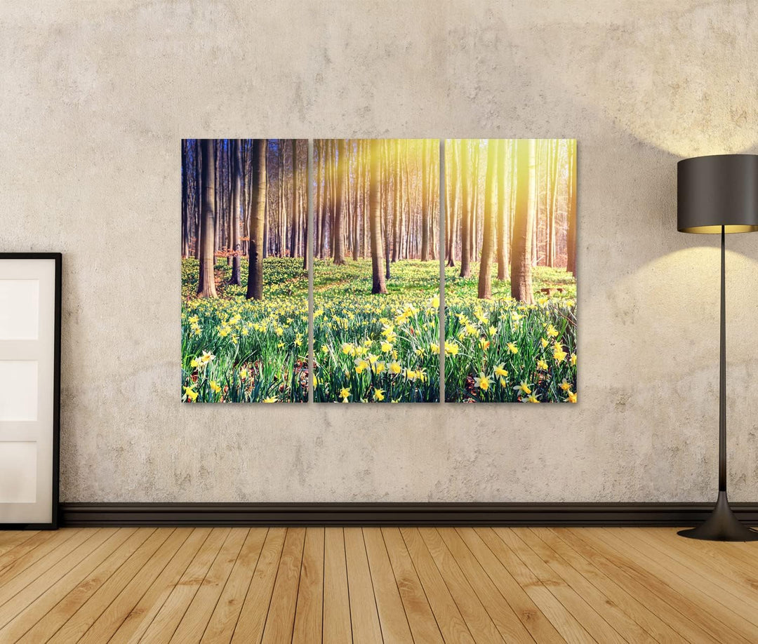 islandburner Bild auf Leinwand Frühling Wald Bedeckt Gelbe Narzissen Landschaft Bilder Wandbilder Po