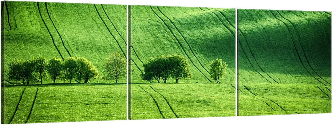 ge Bildet Bild auf Leinwand | Landschaftsbilder - green landscape - Tschechische Rep. O in 120x40 cm