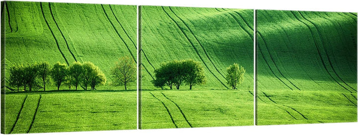 ge Bildet Bild auf Leinwand | Landschaftsbilder - green landscape - Tschechische Rep. O in 120x40 cm