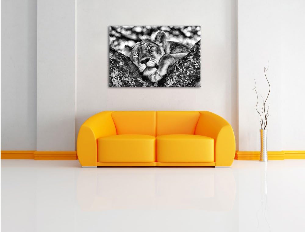Pixxprint müde Löwin ruht auf Baum als Leinwandbild | Grösse: 100x70 | Wandbild| Kunstdruck | fertig