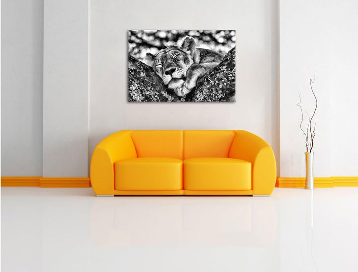 Pixxprint müde Löwin ruht auf Baum als Leinwandbild | Grösse: 100x70 | Wandbild| Kunstdruck | fertig