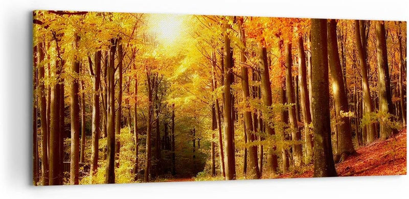 Wandbilder Dekoration Wohnzimmer Pfad Blätter Wald Panorama Bilder auf Leinwand 120x50cm Leinwandbil