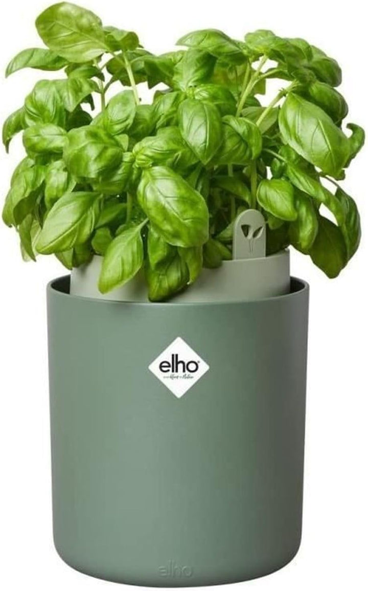 elho Bouncy Basil 16 Blumentopf - Basilikum Topf mit Aussentopf - 100% recyceltes Plastik - Ø 16.5 x