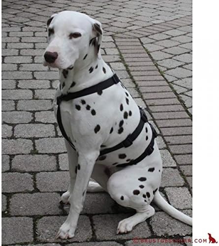 Das Original - NoExit Hundegeschirr ® - 100 % ausbruchsicher für Angsthunde, Sicherheitsgeschirr für