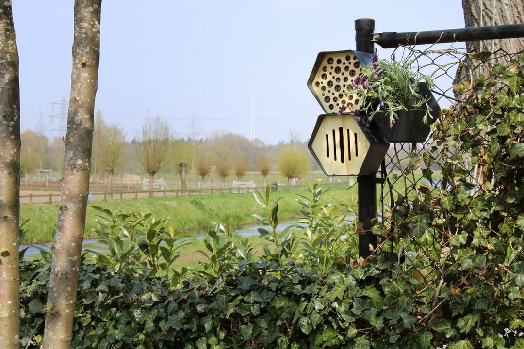 Capi Europe - Bienenhotel Hive - 19x23x20 - Anthrazit - CAPI Biodiversity Hive - AHBEA001 Anthrazit