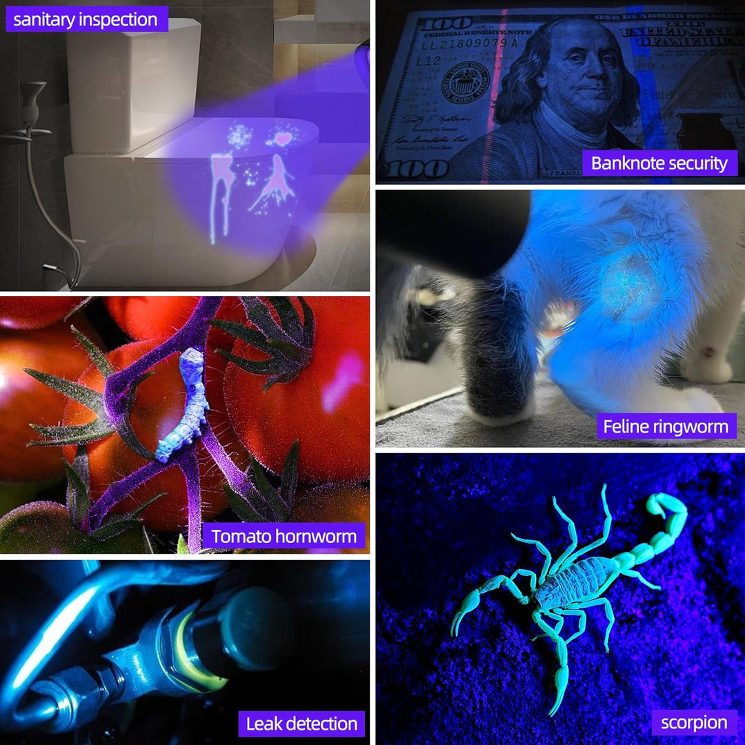 DARKBEAM UV-Taschenlampe 365nm Licht Schwarzlicht, Mini Leistungsstarke Holzlampe USB-C Wiederauflad
