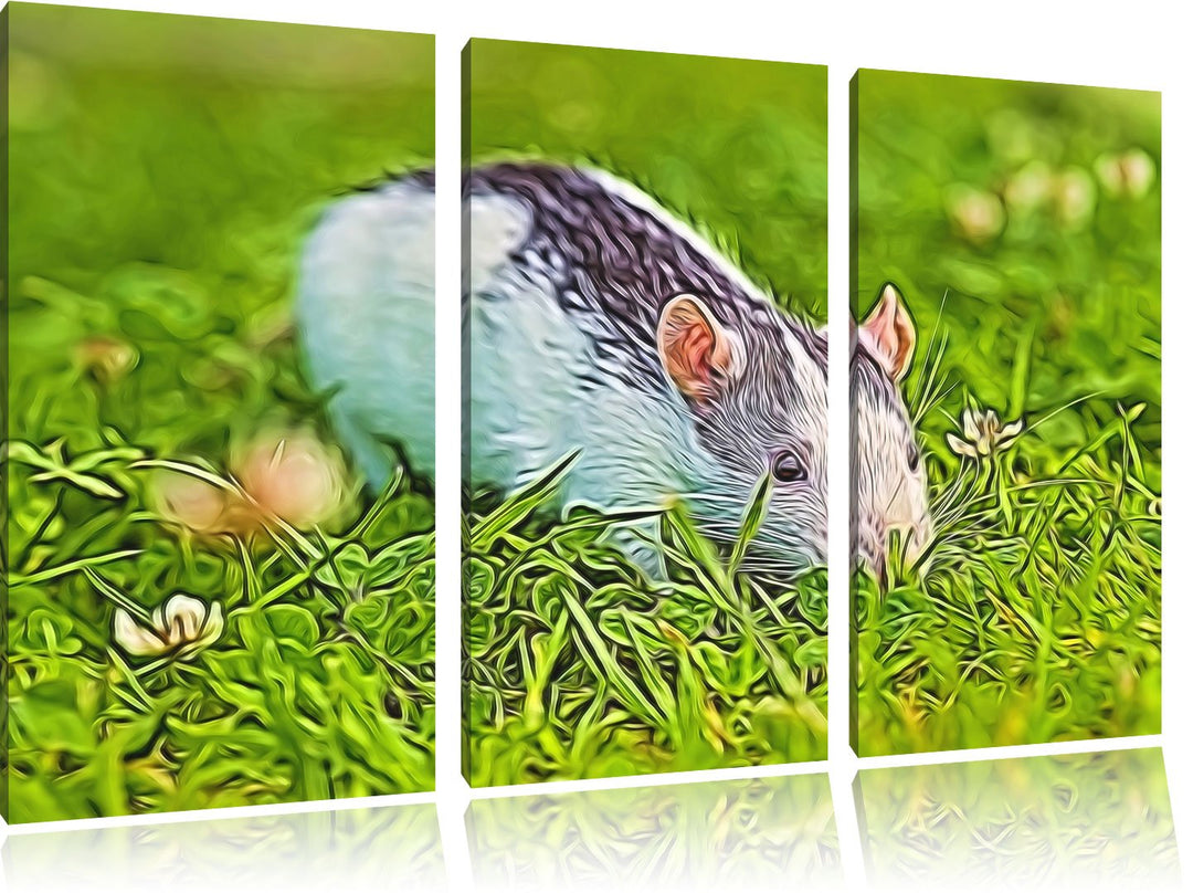 kleine Maus auf Blumenwiese NewArt 3-Teiler Leinwandbild 120x80 Bild auf Leinwand, XXL riesige Bilde