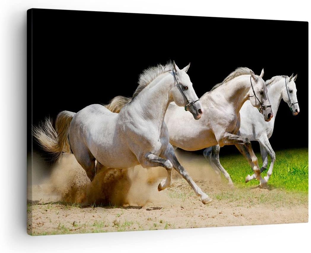Bilder auf Leinwand Pferde Sand Gras Leinwandbild mit Rahmen 70x50cm Wandbilder Dekoration Wohnzimme