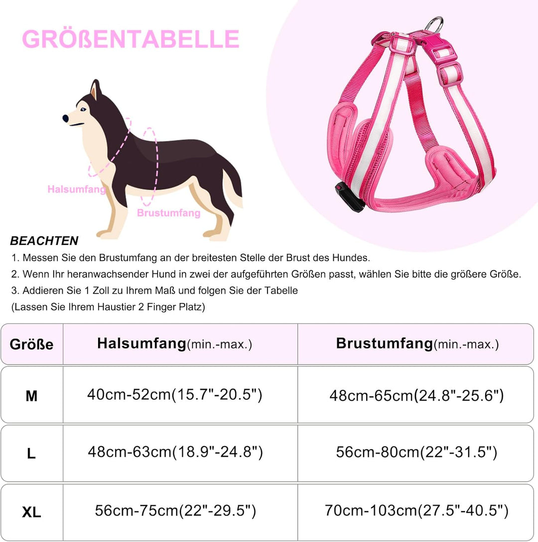 Hundegeschirr Leuchtend, Leuchtgeschirr für Hunde Aufladbar, Leuchtendes Hundegeschirr LED, Leucht G