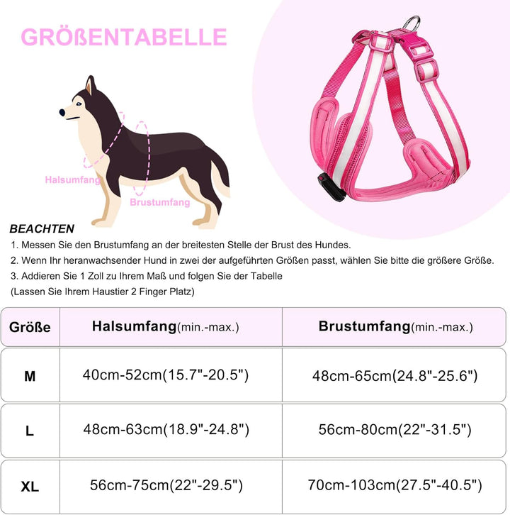 Hundegeschirr Leuchtend, Leuchtgeschirr für Hunde Aufladbar, Leuchtendes Hundegeschirr LED, Leucht G