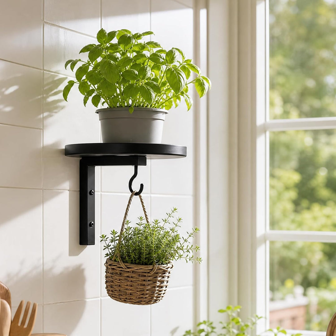 Wandbehang Pflanzenregal 3er Set, Pflanzenhalter mit Ablage und Haken | Platzsparend &amp; Einfach zu Mo