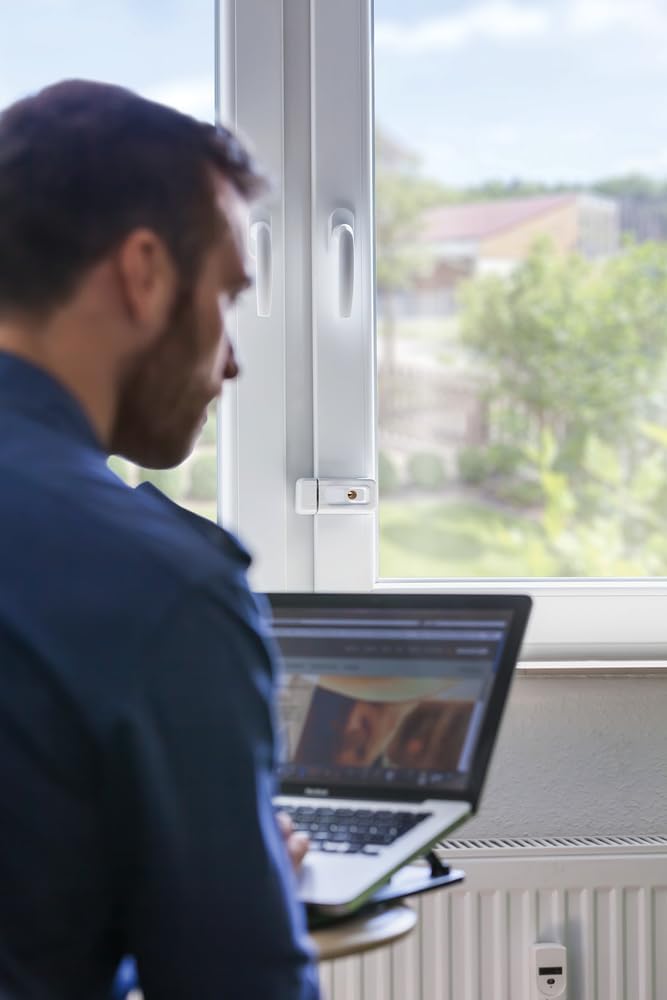 ABUS Fenster-Zusatzsicherung 3010 AL0125 - Sicherheitsschloss für Fenster und Türen, gleichschliesse