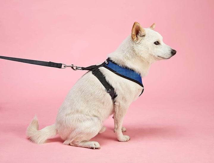 Gooby Comfort X Head In Harness – Rot, Gross – No Pull Kleine Hundegeschirr, Patentierter Würgefreie