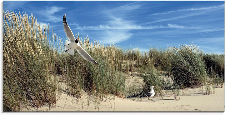 ARTland Wanddeko Glasbilder Wandbild Glas Bild einteilig 60 x 30 cm Düne Nordsee Gras Möwe Sommer Me