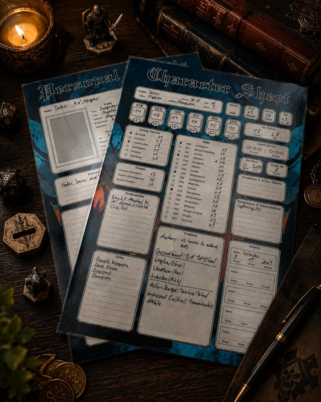 2 Wiederverwendbare RPG Charakterbögen – 4 laminierte A4 Character Sheets (8 Seiten), Wet-Erase-Stif