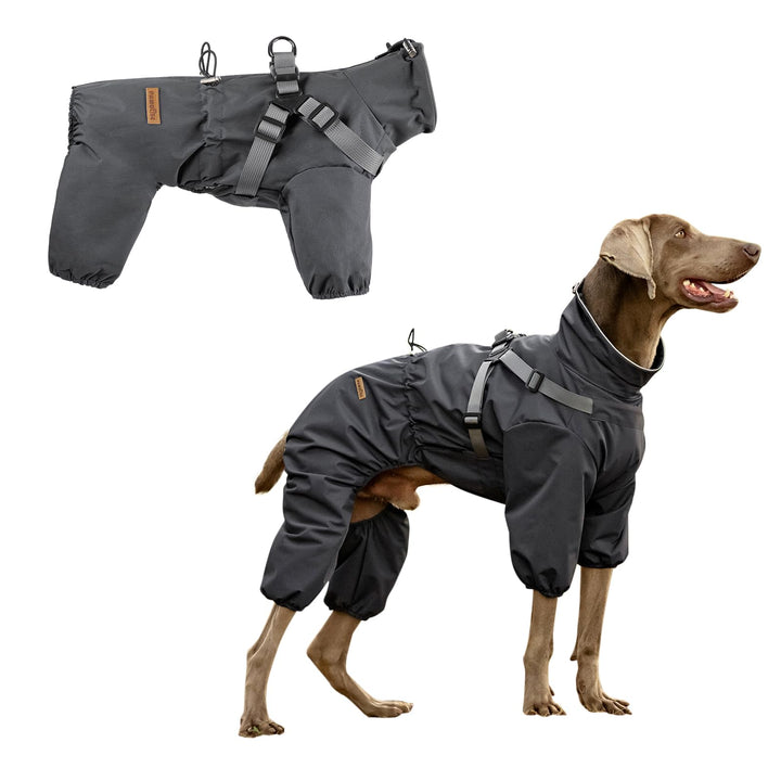 Regenmantel Hund mit Geschirr Wasserdicht für Kleine, Mittlere und Grosse Hunde, Reflektierender Reg