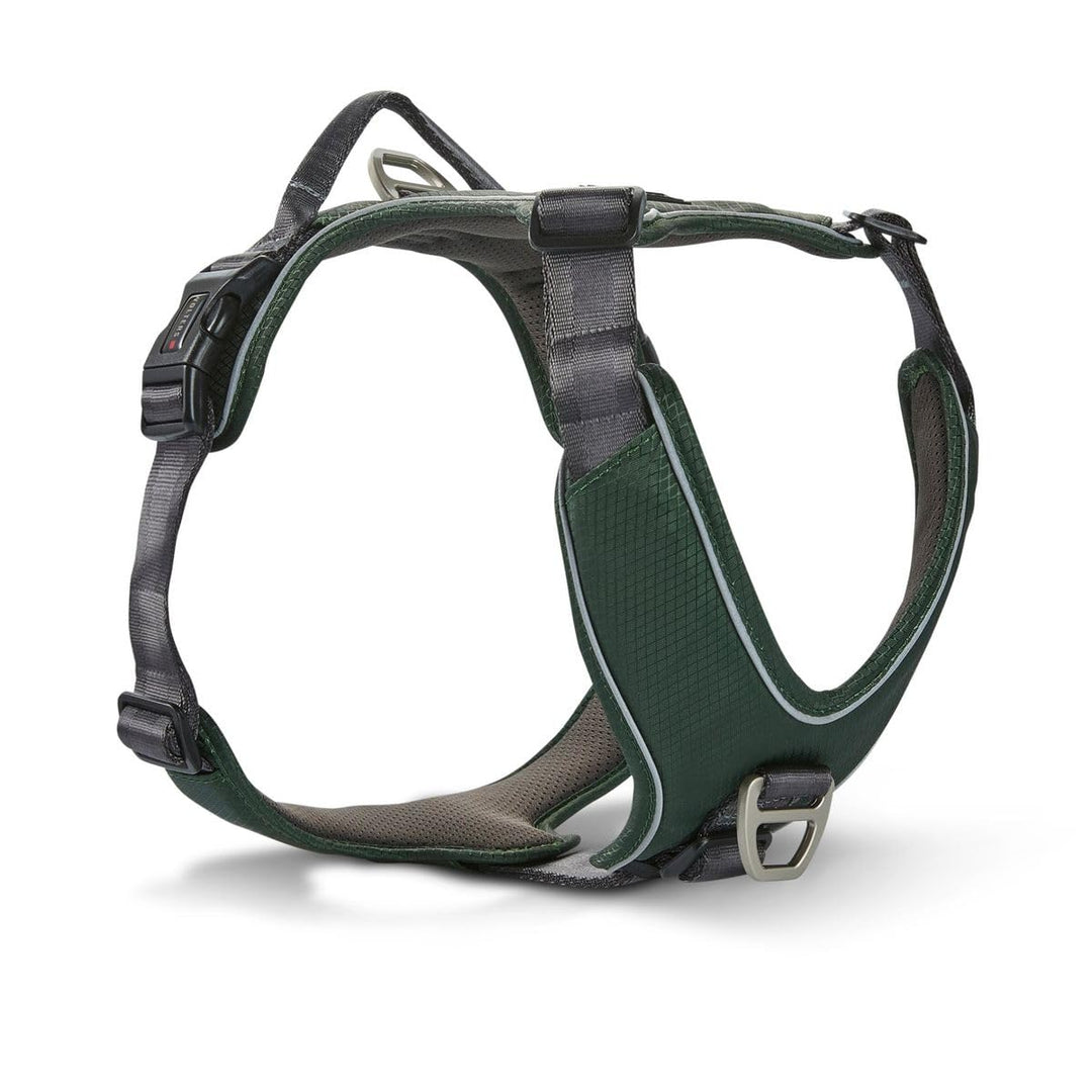 Wolters Geschirr Active Pro Comfort, Grösse:70-85 cm, Farbe:grün/anthrazit 70 - 85 cm grün/anthrazit