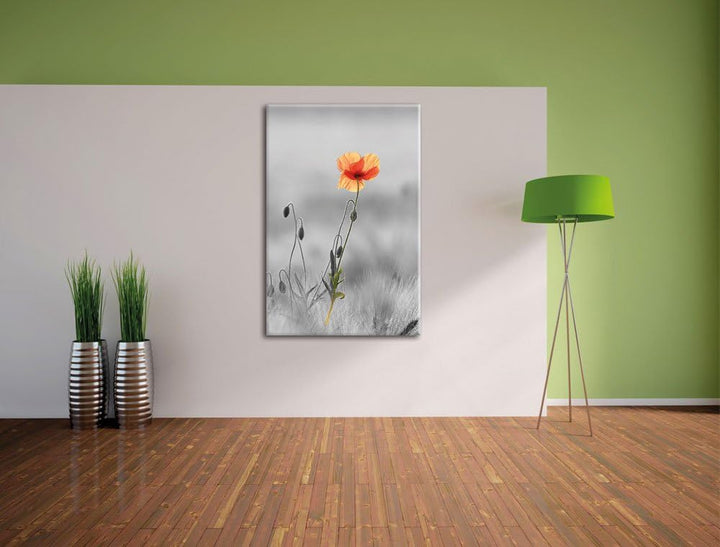 Pixxprint Rote Mohnblume im Feld als Leinwandbild/Grösse: 100x70 cm/Wandbild/Kunstdruck/fertig bespa