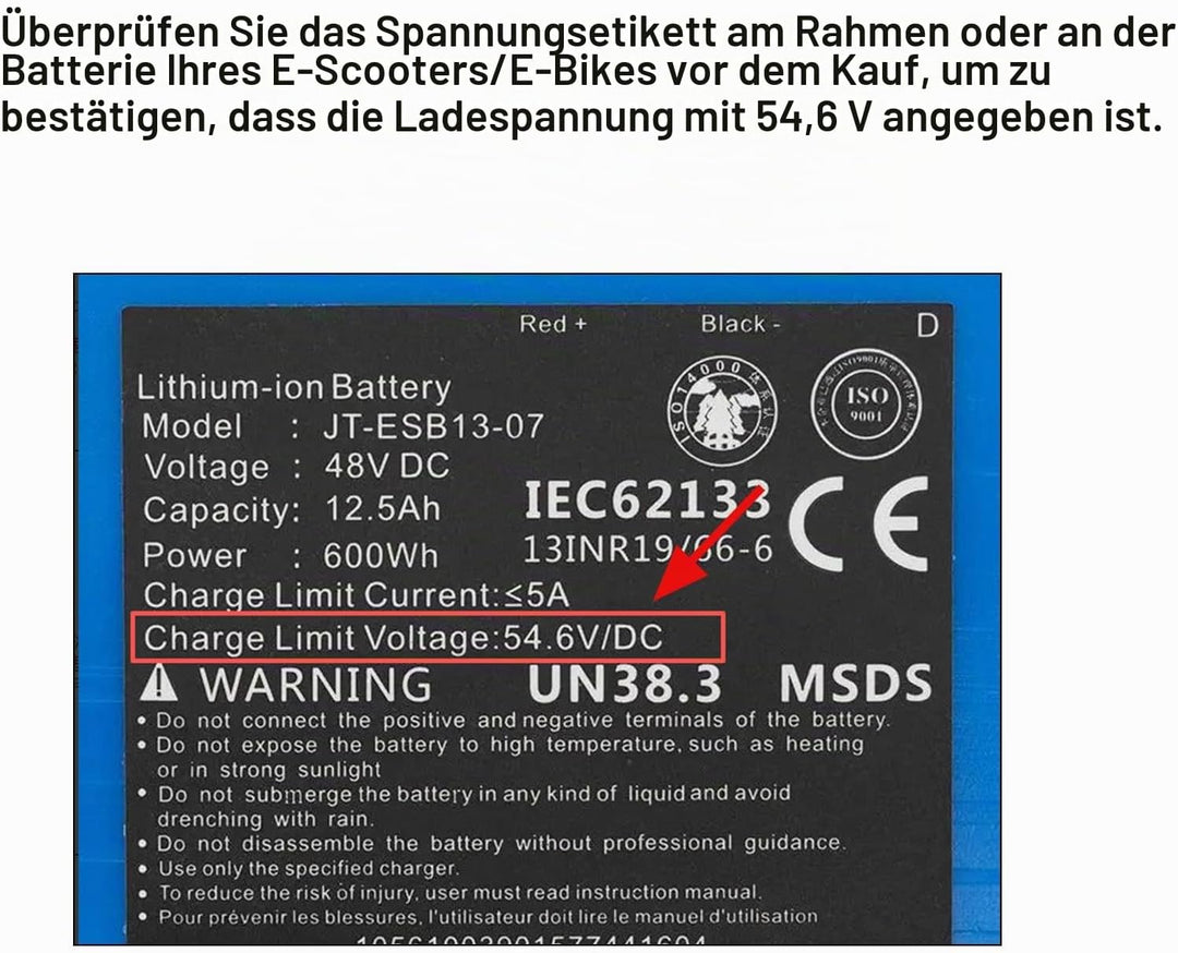 Labtec 54,6V 48V 2A Ladegerät Ladekabel für 48V 2A 13S Li-on Akkus E-Bike Elektrofahrrad Pedelec Hov
