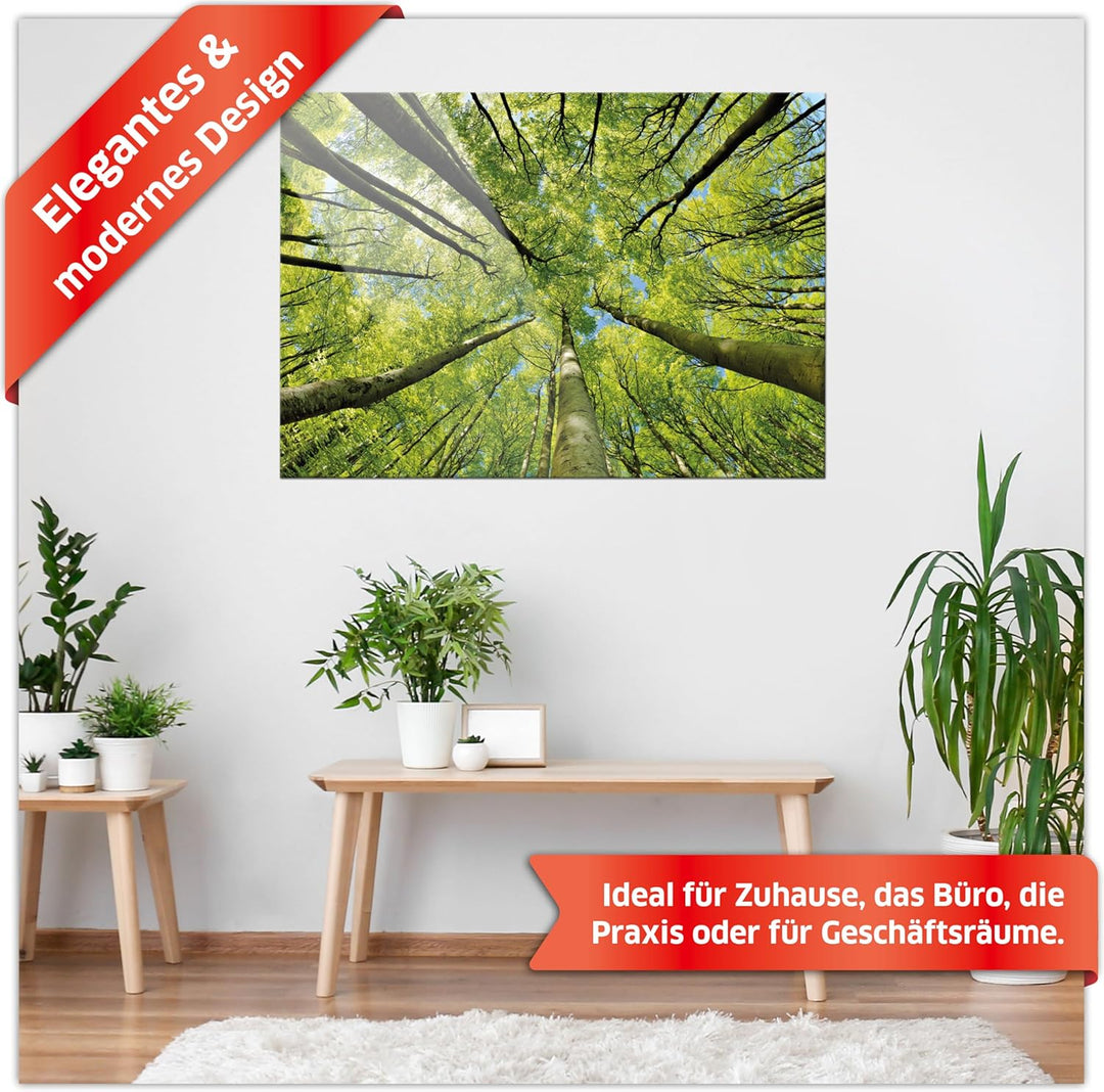 Primus Print - Wandbild Glasbild - Acrylglas Aludibond (Acryl, Bäume 84,1x59,4 cm) Acryl Bäume, Acry
