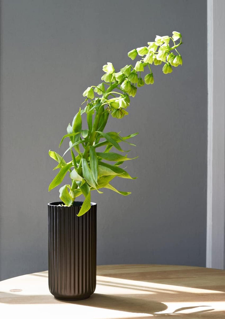 Lyngby Porcelæn Vase H15.5 cm Lyngby Designklassiker Zeitloses Design, schwarz H15,5 cm Schwarz, H15