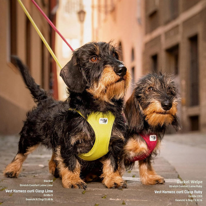 Vest Harness curli Clasp Air-Mesh Ruby L Ruby L Einfarbig, Ruby L Einfarbig