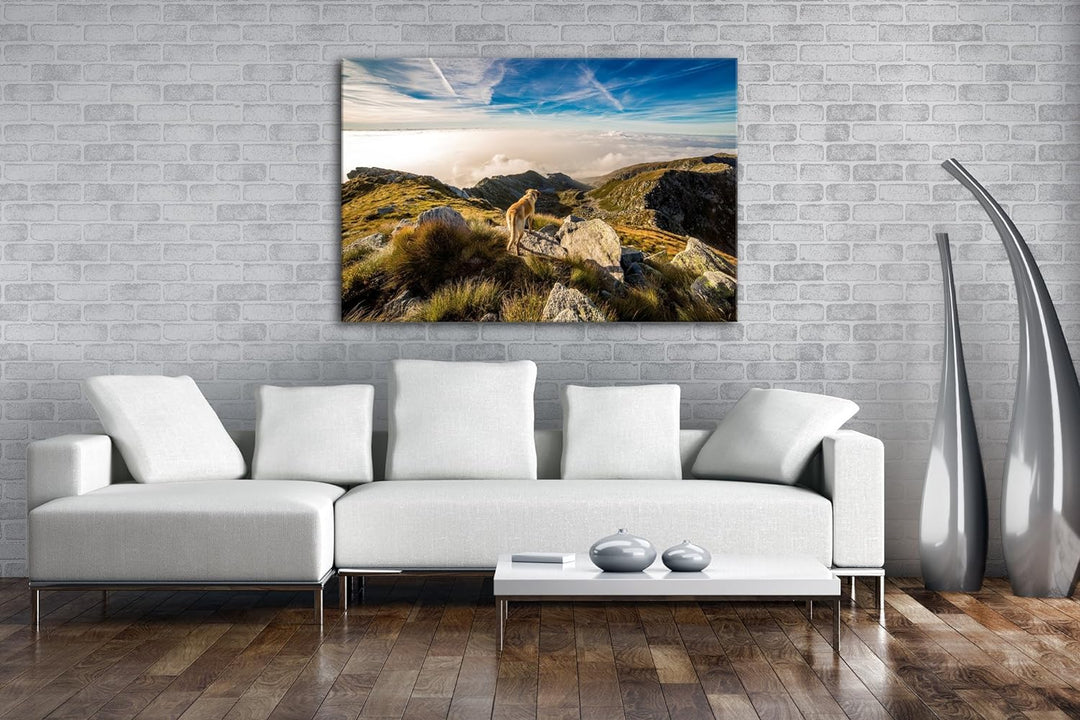 Hund auf einen Berg über den Wolken Format: 80x60 als Leinwand, Motiv fertig gerahmt auf Echtholzrah