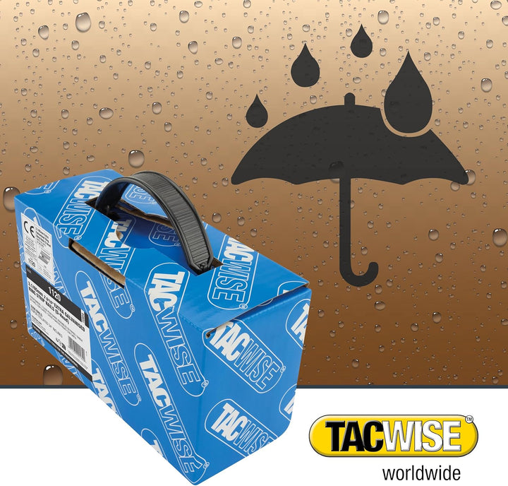 TACWISE 1120 Extra verzinkte Rahmennägel, 3,1/65 mm, D-Kopf, Ringschaft, 34°-Neigung, papiergebunden
