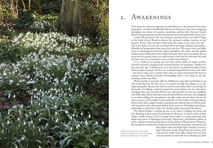 Pimpernel Press Beth Chatto's Shade Garden: Shade-Loving Plants for Year-Round Interest