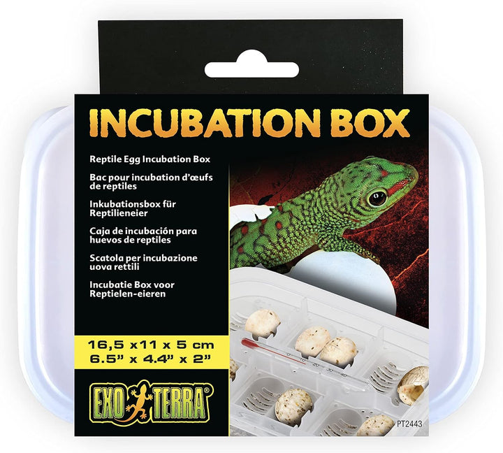 Exo Terra Inkubator Pro, Präzisionsinkubator für Reptilieneier, Inkubator mit Feuchtigkeitsregulieru
