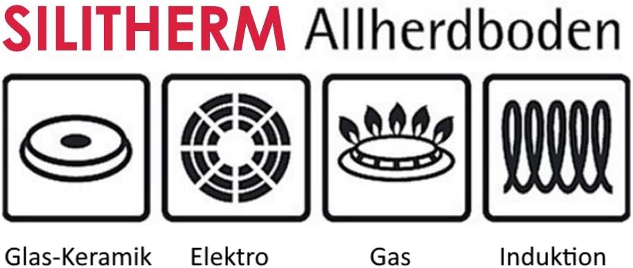 Silit Domus Bratpfanne Induktion 28 cm hoch, Edelstahl beschichtet, Kunststoffgriff, für schonendes
