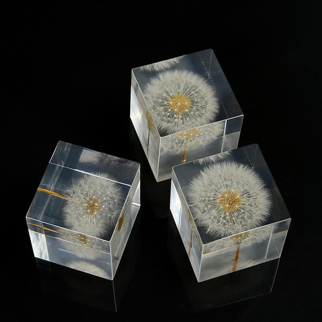 DESHINTKE Briefbeschwerer mit Pusteblume in Würfelform, mit Holzbox, 5,1 cm, transparent, echte Löwe
