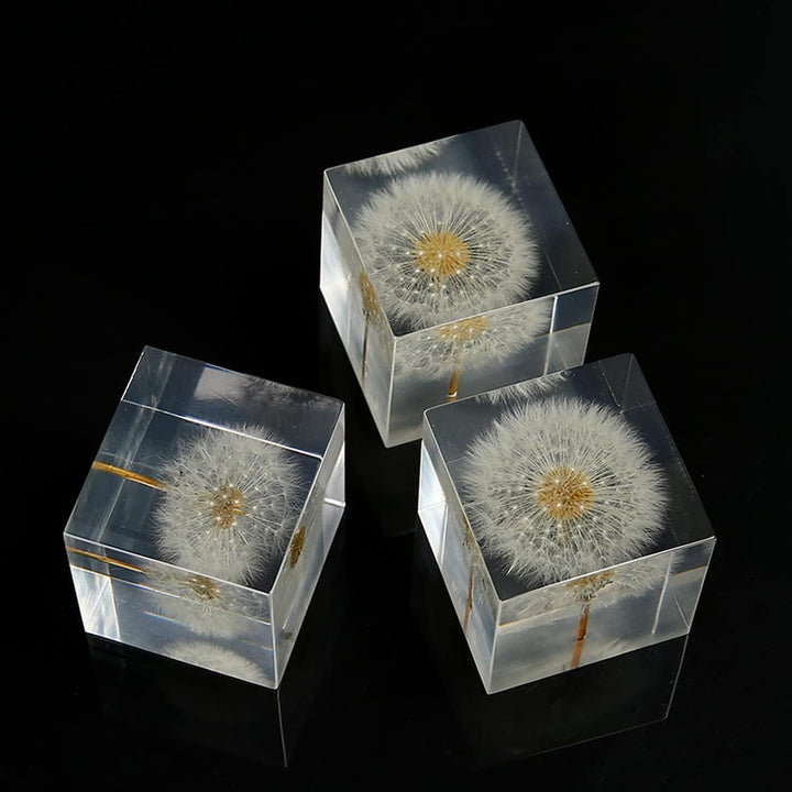 DESHINTKE Briefbeschwerer mit Pusteblume in Würfelform, mit Holzbox, 5,1 cm, transparent, echte Löwe
