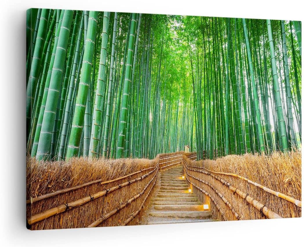Bilder auf Leinwand Bambus Pflanze Leinwandbild mit Rahmen 70x50cm Wandbilder Dekoration Wohnzimmer