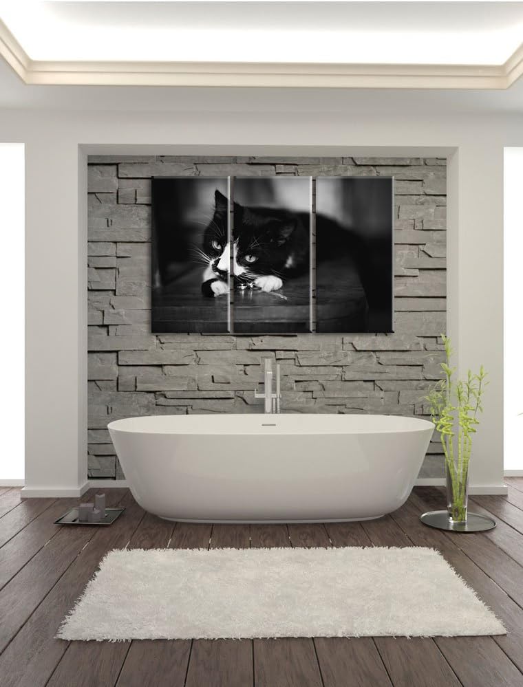 Schwarze Katze spielt mit Ehering B&W Detail 3-Teiler Leinwandbild 120x80 Bild auf Leinwand