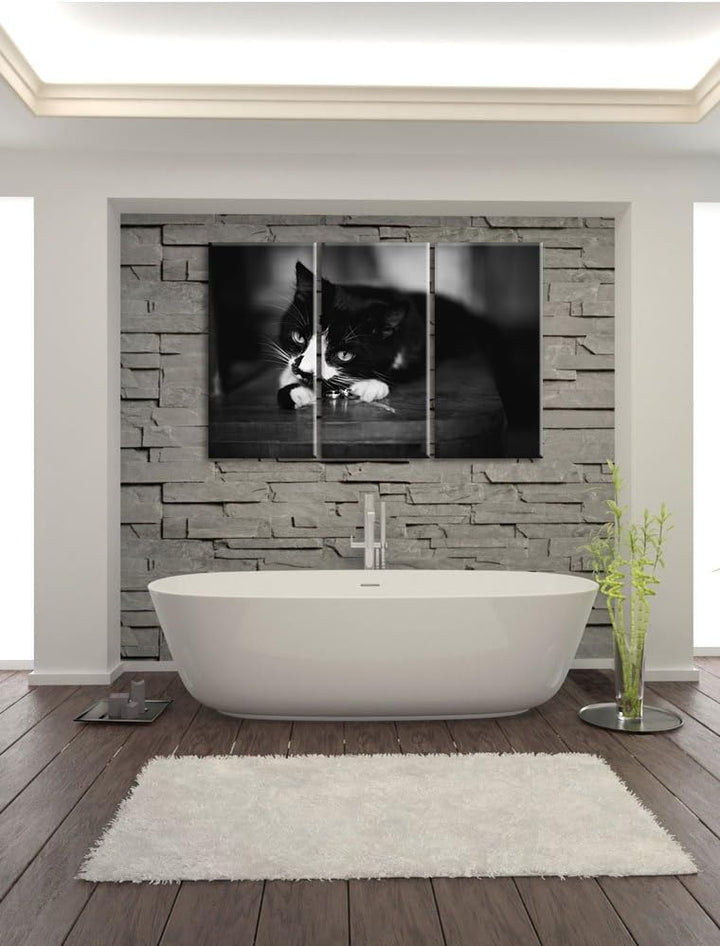 Schwarze Katze spielt mit Ehering B&W Detail 3-Teiler Leinwandbild 120x80 Bild auf Leinwand