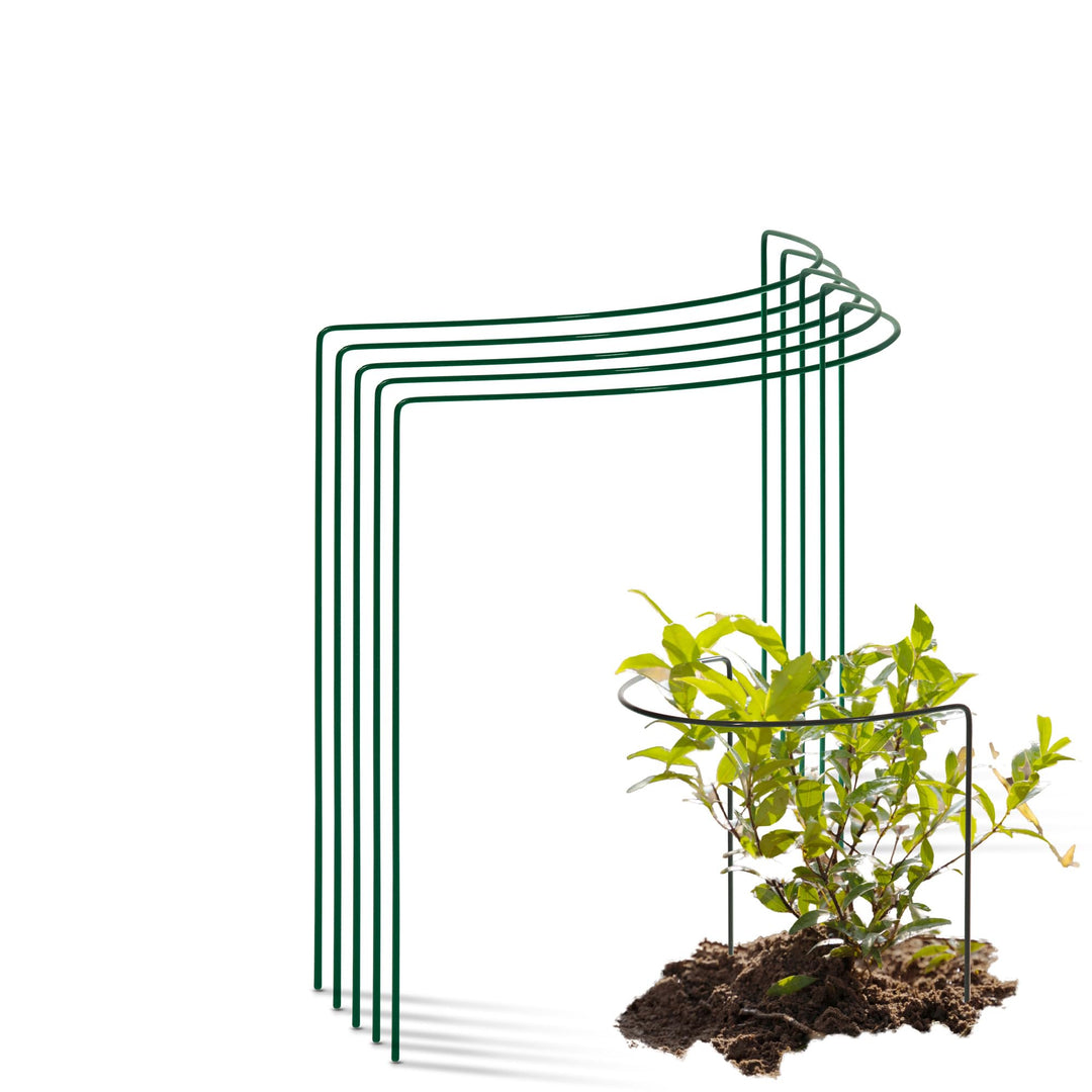 Novatool 5 Strauchstütze Metall halbrund 40 cm Ø35 cm hoch grün Staudenhalter Blumenhalter Rankengew