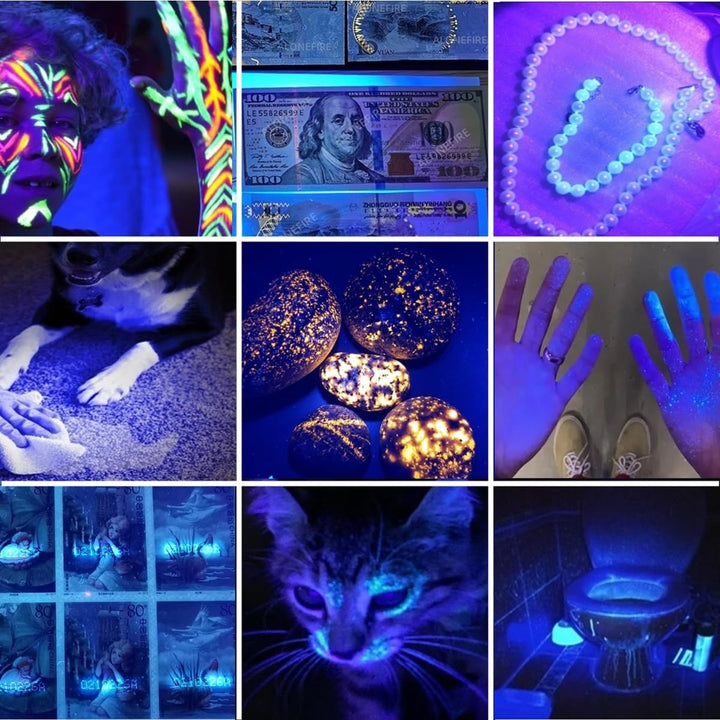 Alonefire SV87 5W 395nm UV Taschenlampe Typ C USB Aufladbar Zoom Schwarzlicht Haustierurin Detektor